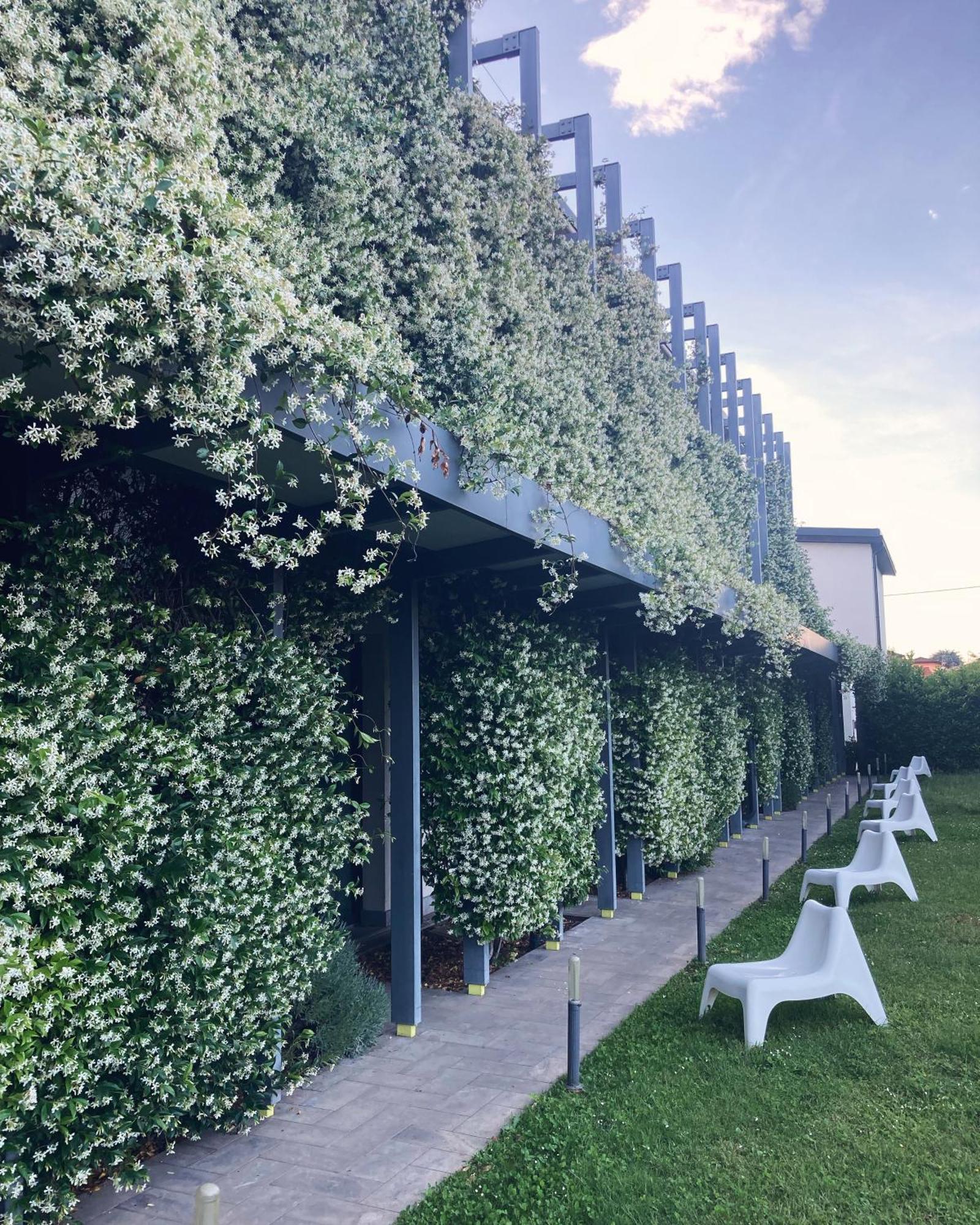 Mxp Rooms Guest House Cardano Al Campo Εξωτερικό φωτογραφία